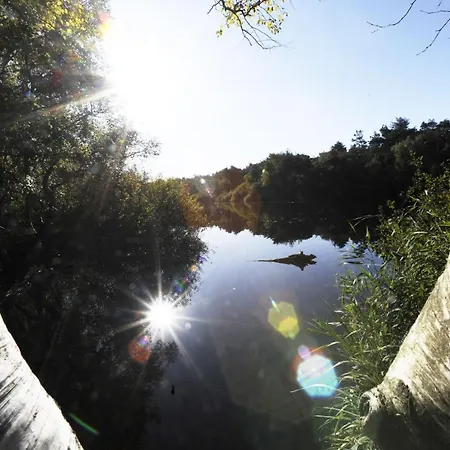 Haus Am Waldbad Aw15